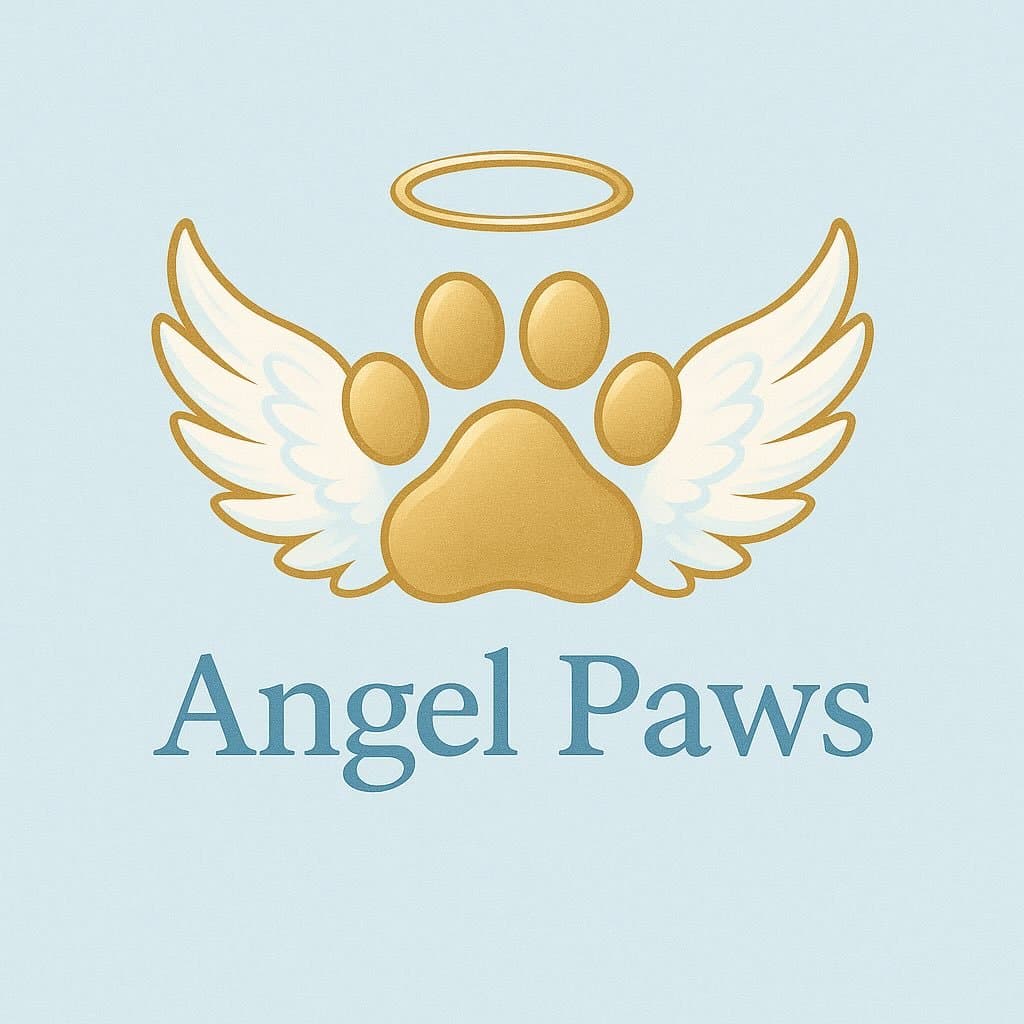 Angel Paws Ručno rađene torte za pse i mačke Subotica